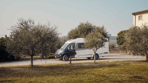 Betsy – 2p Carado from 2024 - Semi-integrated 