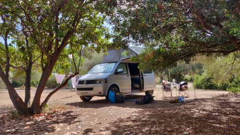 VW-Campingbus mit 4 Schlafplätzen aus dem Jahr 2013