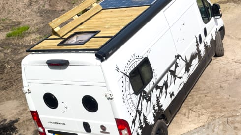 3p Fiat campervan uit 2018