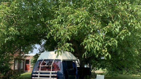 Maxima  – 2p Volkswagen bus from 1986