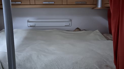 camper – 5p TEC alcove from 2008