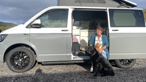 4 berth Volkswagen bus from 2019