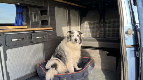 Charlie – Newly converted VW  automatic long wheelbase camper 
