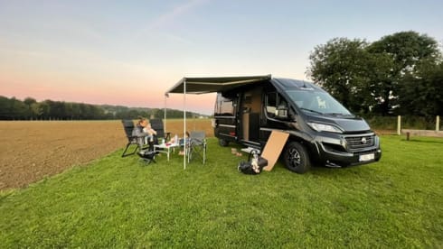 4p Sunlight bus uit 2021