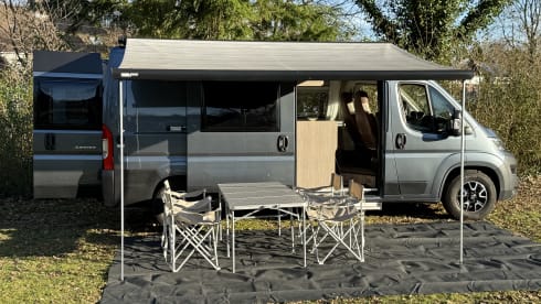 4p Pössl bus uit 2020