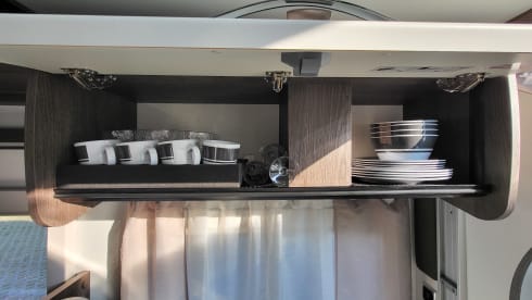 Benimar Cocoon 463 - AUTOMATIC - October 2023