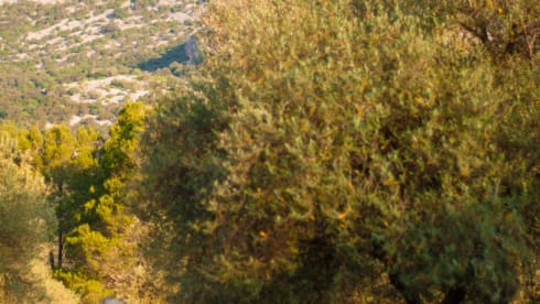 Yosemite  – Premium Outdoor Van Rental