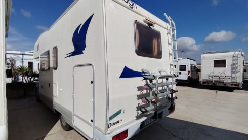 Marlin 65 – Elnagh Marlin 65