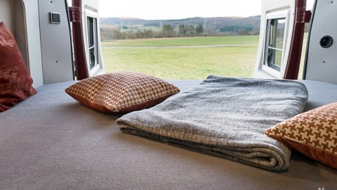 Reddy – Van - Hymer Free 600