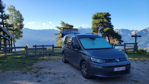 Dolo  – Volkswagen Cady California 