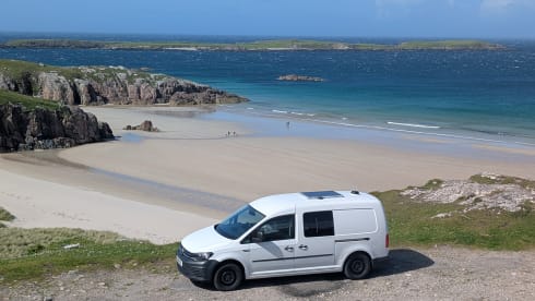 Pegasus – Pegasus – VW artisanale – Matelas haut de gamme unique en son genre, autonome, plus de 60 mpg