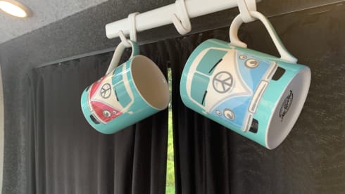 Bluebell – VW T5 pop top 4 posti letto.