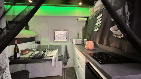 Bert – Ready for almost any adventure