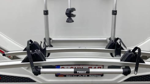 Chihuahua on the road – 2p Benimar semi-integrated from 2022