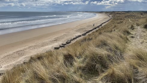 Lexi  – Winnebago rv