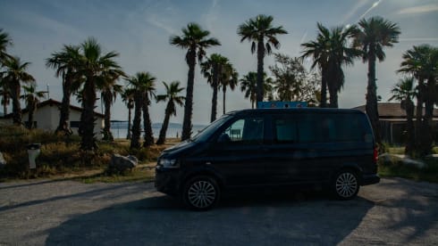 4p Volkswagen bus from 2013