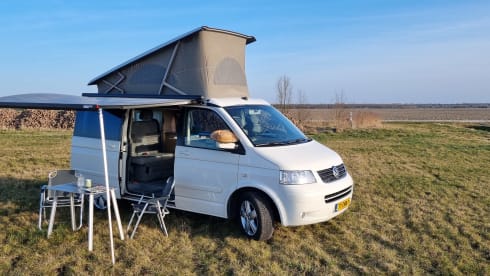 "De Witte" – 4p Volkswagen bus from 2004