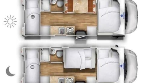 Ahörnchen – Maple Eco683 