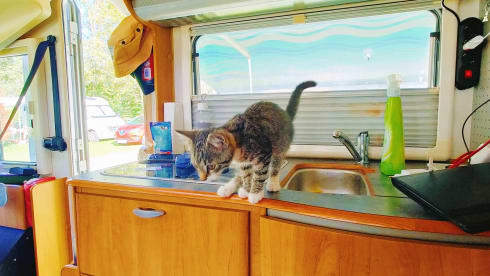Maro 3 – 4p Hymer integrated from 2003