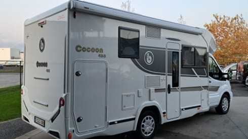 Benimar cocoon 488 2022