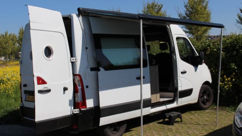 Renault-Bus mit 2 Sitzen aus dem Jahr 2017