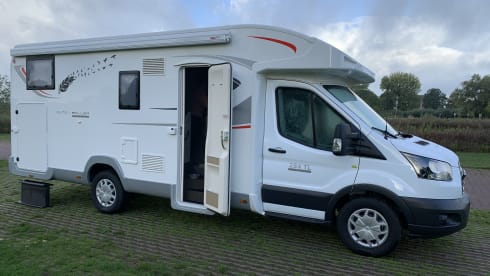 4p Roller Team semi-integrated from 2018