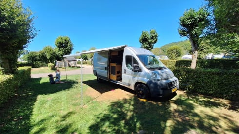 De Vakantiebus – 4p Fiat bus from 2010
