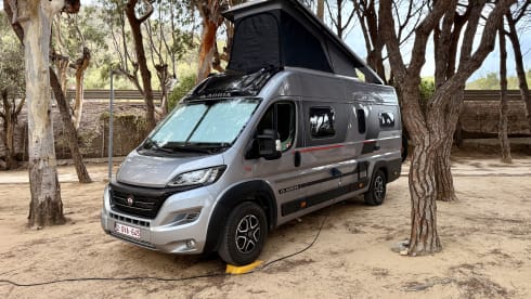 BumbleBee – 4p Adria Mobil bus uit 2024