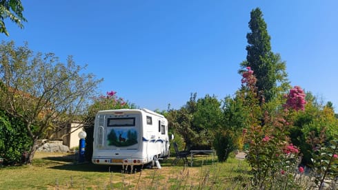 🦌🚎 – 🚐 Unique Laika with a powerful 2.8JTD engine and XXL garage