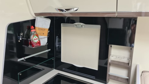 DELPORTE CYCLING – 5p McLouis CARAT 879 from 2025