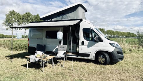 Bennie – Bennie: Fiat Campervan (Automatic) - Pet Friendly - 4 Persons