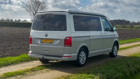 Luxury 5 person Volkswagen Camper