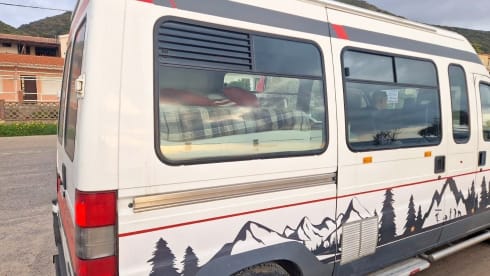 Boxer – True Boxer