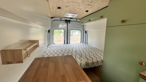 Poppy – Ford Campervan (2019) 2p + huisdier