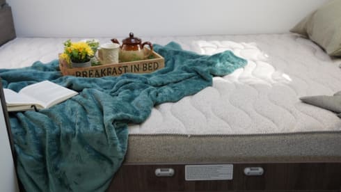 Cocoon 444 – 5p Ford semi-integrated uit 2025