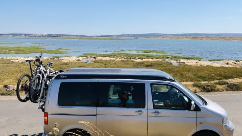 Ginny β 4 berth Volkswagen campervan from 2009