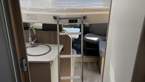 Carado T447 Edition 24