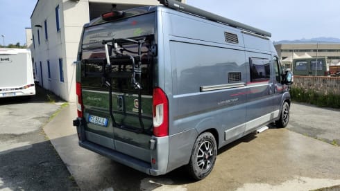 Living Stone 2 – LAIKA Ecovip 300