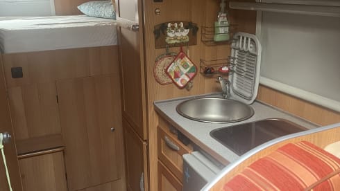 Cataleja – Travel 360 degrees