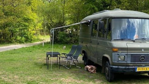 Groene Gast – Green Guest takes you on a unique adventure in a retro camper!