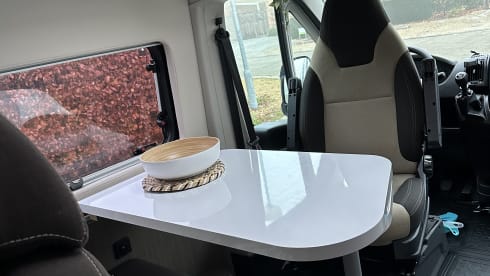 Dreamer – 2p Challenger bus from 2021