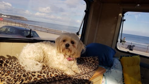 Marilyn  – Have the time of your lives in my unique motorhome 