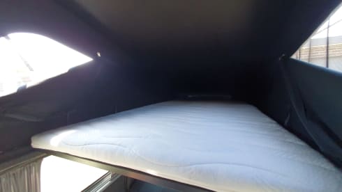 4p Volkswagen campervan uit 2018