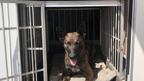 Bavaria T746 Class – Mooie ruime en zeer uitgeruste camper