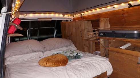 Amerai il nostro bel camper Volkswagen insieme al tuo cane o gatto!