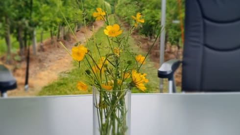 Truus ons vakantiehuus – Spacious family camper Fiat Ducato