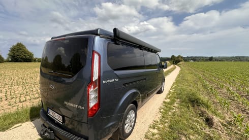 Nuggie Nugget – 4p Ford campervan from 2023