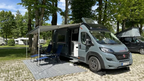 Rollerteam Livingstone Duo Xl