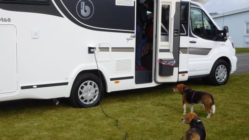 Cocoon 468 – New "2021" 4-person Cocoon 468: the comfort of home, even on the road