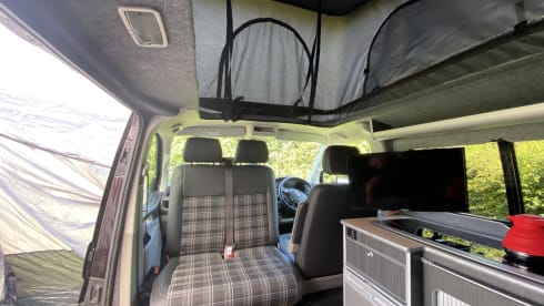 Bentley  – Gorgeous Blackberry VW T6 Campervan with Starlight Ceiling 